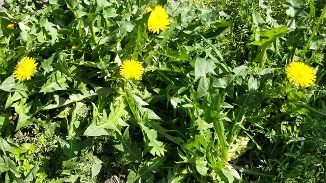 アイキャッチ画像361