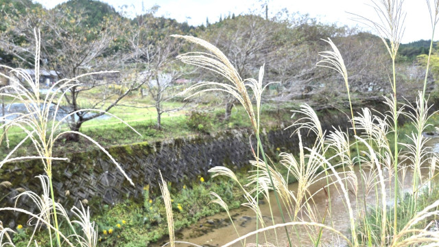 アイキャッチ画像273