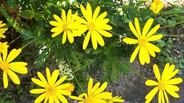 アイキャッチ画像357