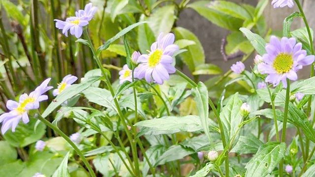 アイキャッチ画像393