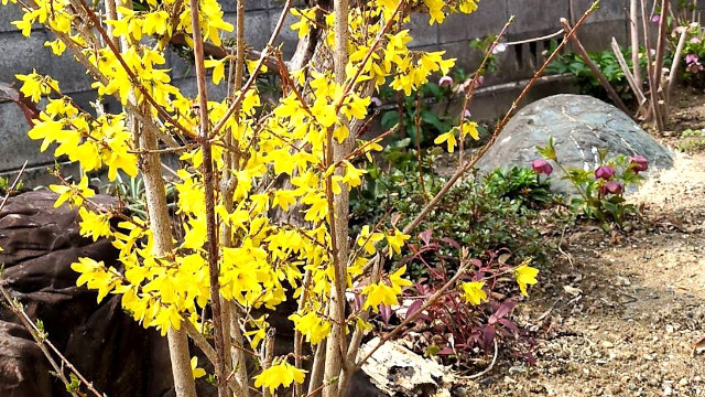 アイキャッチ画像362