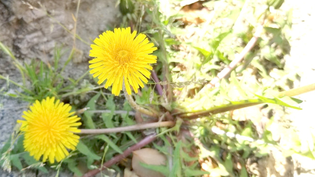 アイキャッチ画像404