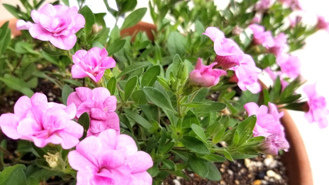 アイキャッチ画像349