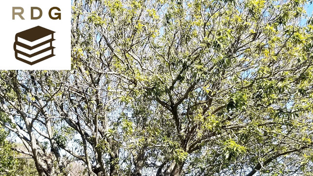 アイキャッチ画像365