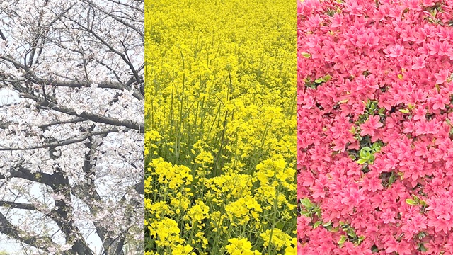 アイキャッチ画像467