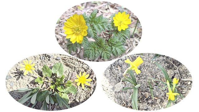 アイキャッチ画像430