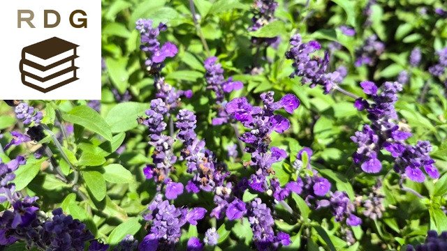 アイキャッチ画像1474