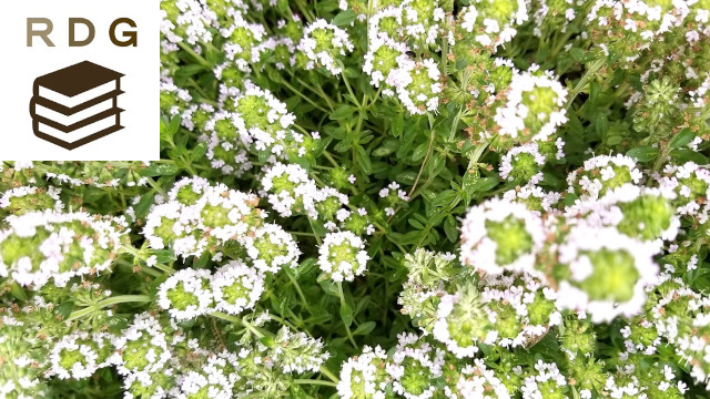 アイキャッチ画像1496