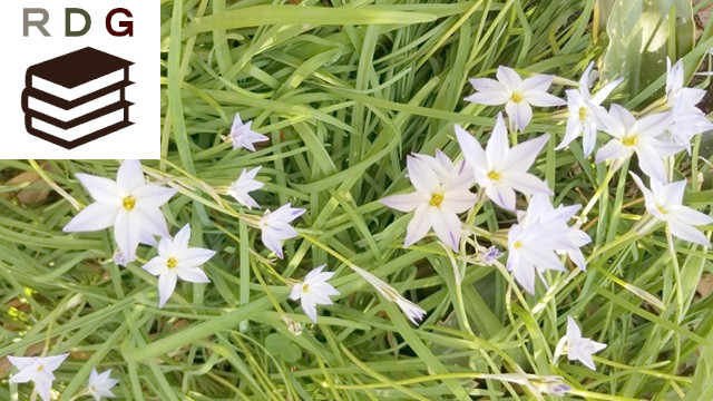 アイキャッチ画像1500