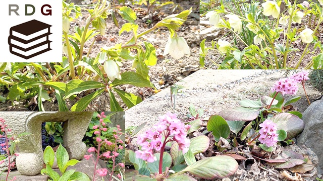 アイキャッチ画像1501