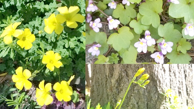 アイキャッチ画像1499