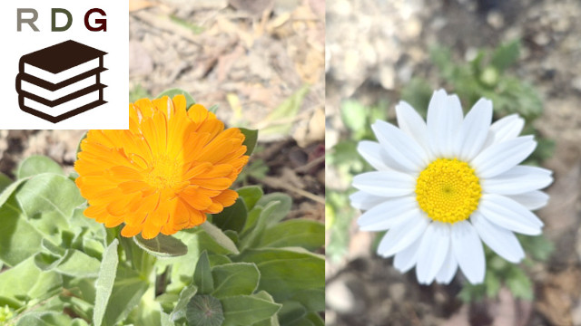 アイキャッチ画像1503