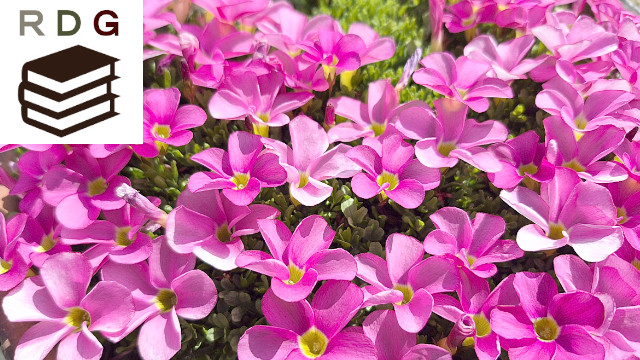 アイキャッチ画像1505