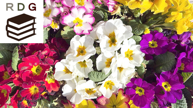 アイキャッチ画像1508