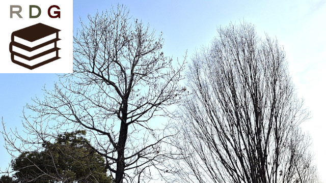 アイキャッチ画像1512